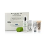 SISLEY Botanical D-Tox Detoxifying Discovery Program: Botanical D-Tox 30ml + Make-Up Remover 30ml + Mask 10ml + Pore Minimizer 10ml